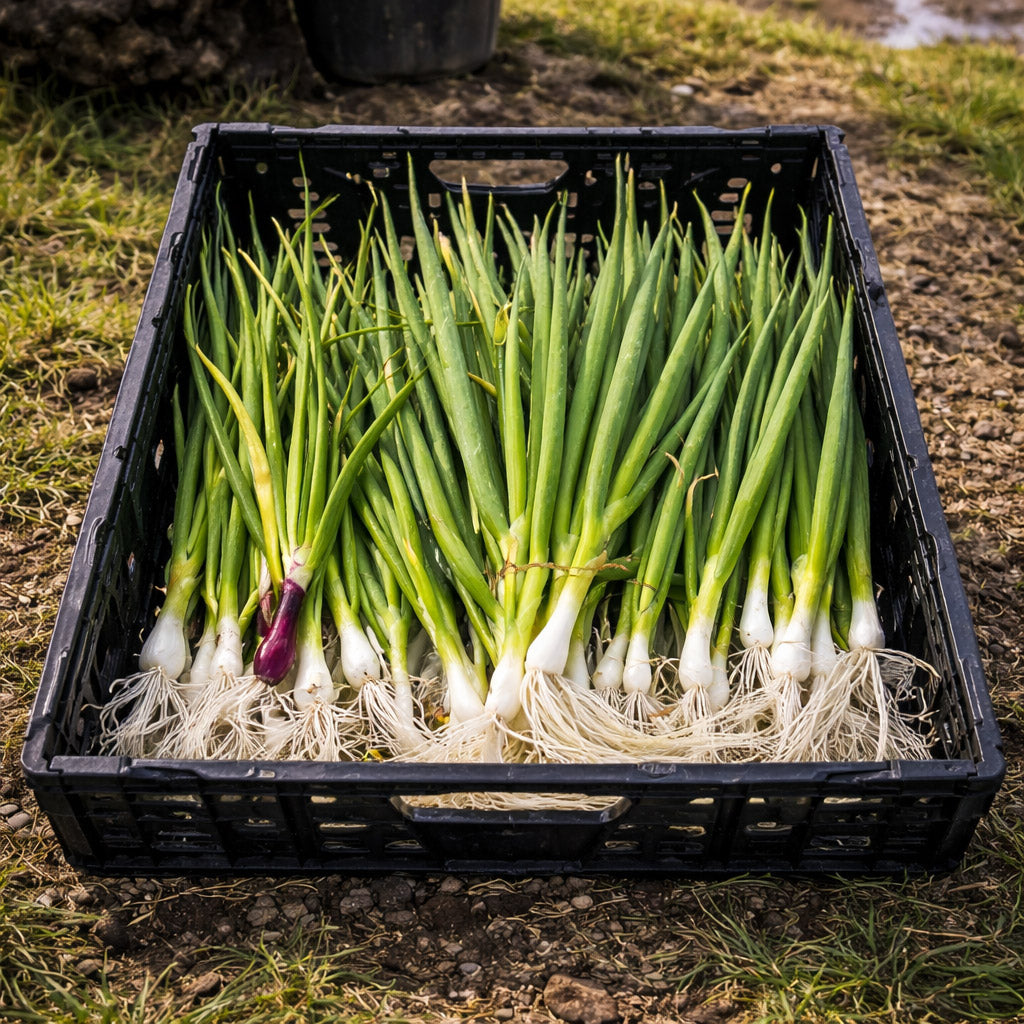 Farm produce