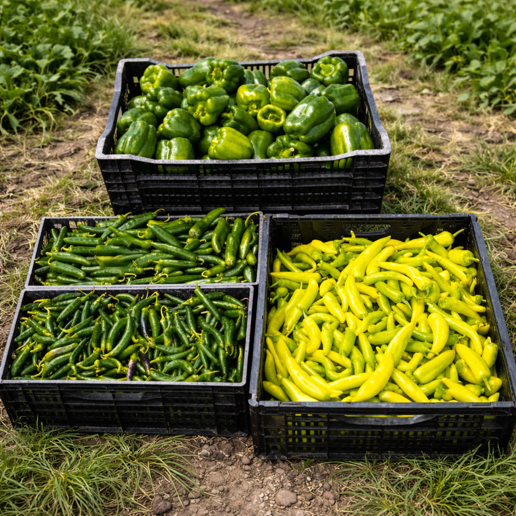 Farm produce